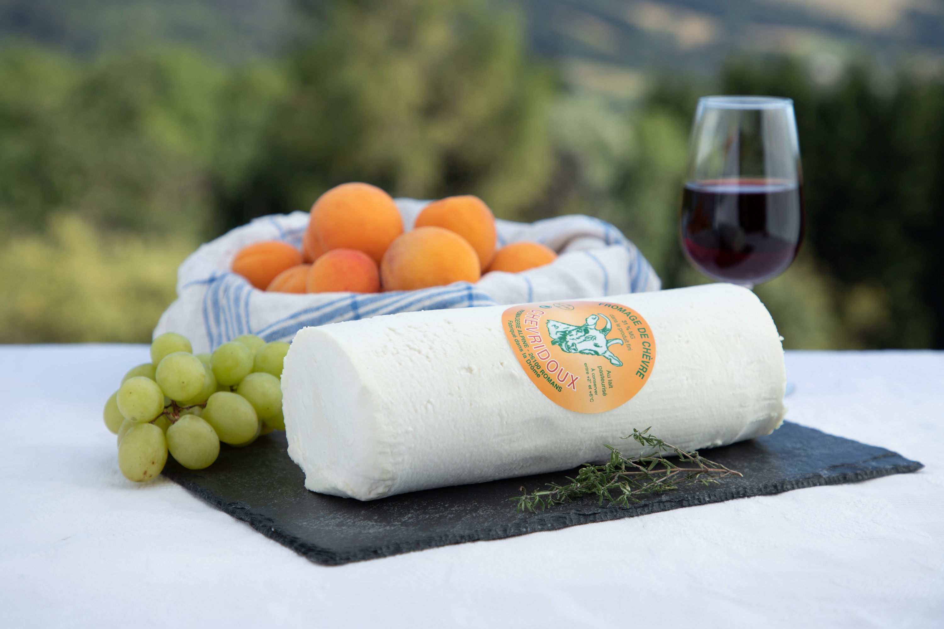 Bûche de Chèvre