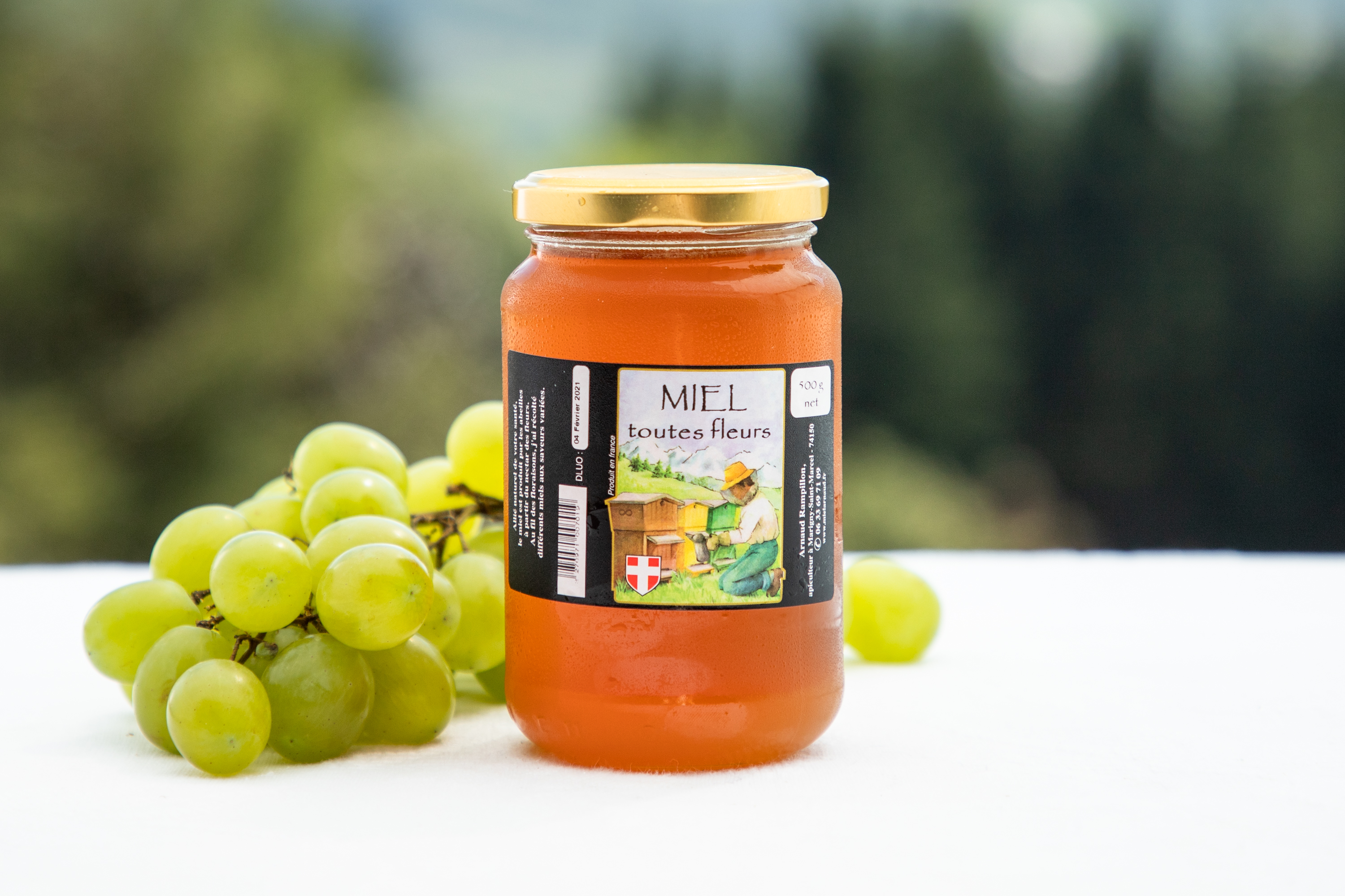 MIEL DE HAUTE SAVOIE "FORET"